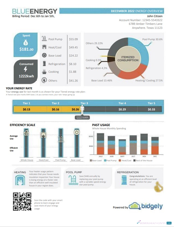 download download USA Texas Blue Energy utility bill, Word and PDF template PDF template PDF template